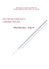 Đề cương ôn tập Giữa kì 2 Hóa học 11 năm 2024–2025 trường THPT chuyên Lương Văn Chánh (Đắk Lắk)